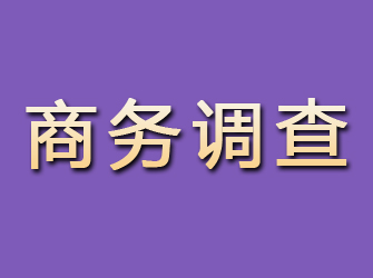 龙川商务调查